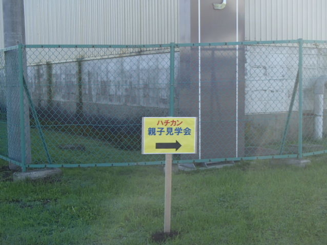 image8